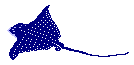 manta_right.gif